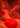 Red Erythrocytes Blood Cells Red Erythrocytes Blood Cells
