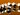 SARF series - Avalanche Photodiode